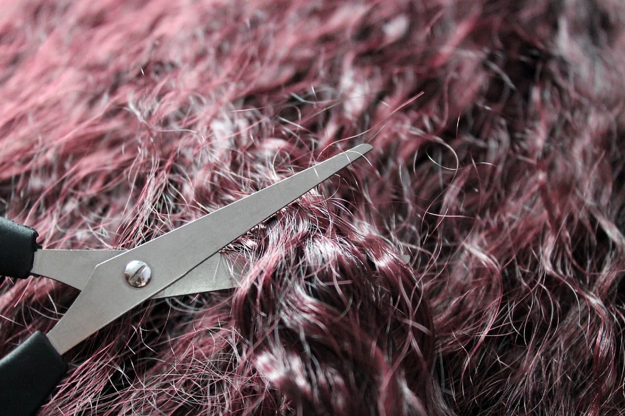 Scissors resting on dry curly hair